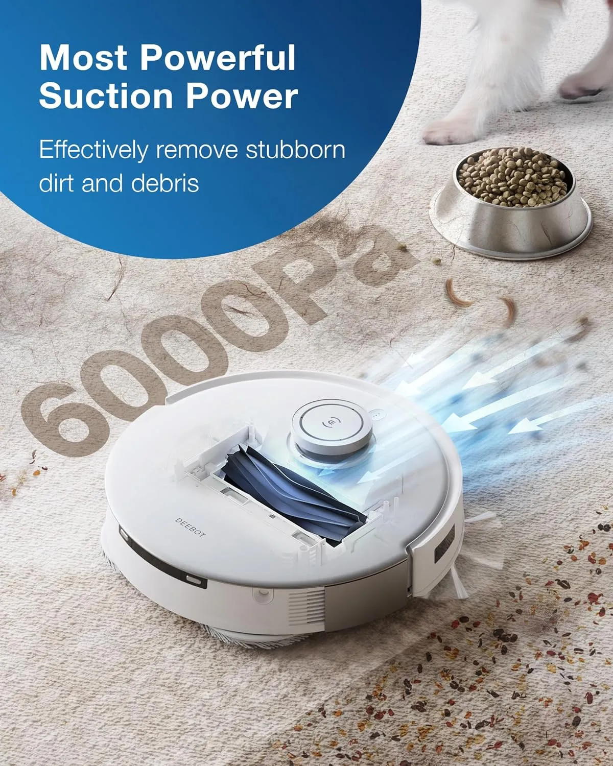 Robot Vacuum and Mop